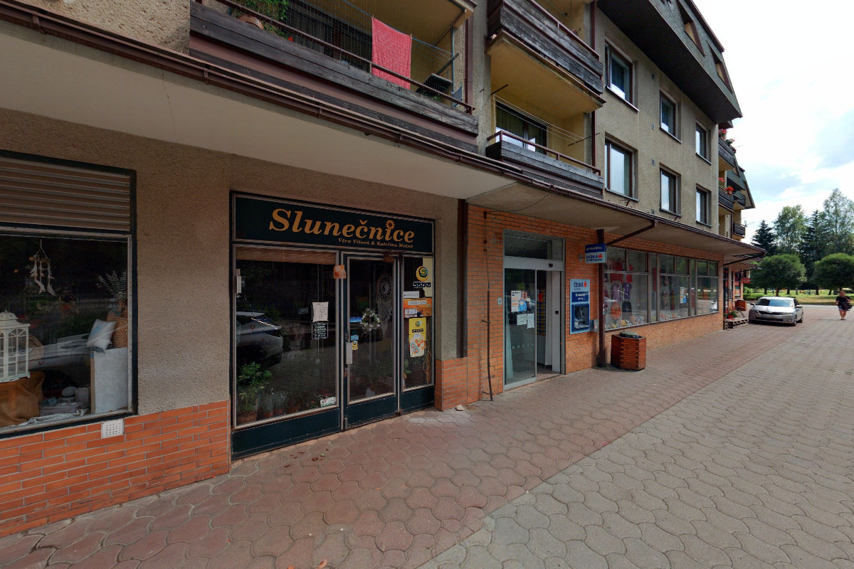 Slunečnice Věra Vítová & Kateřina Možná foto 3