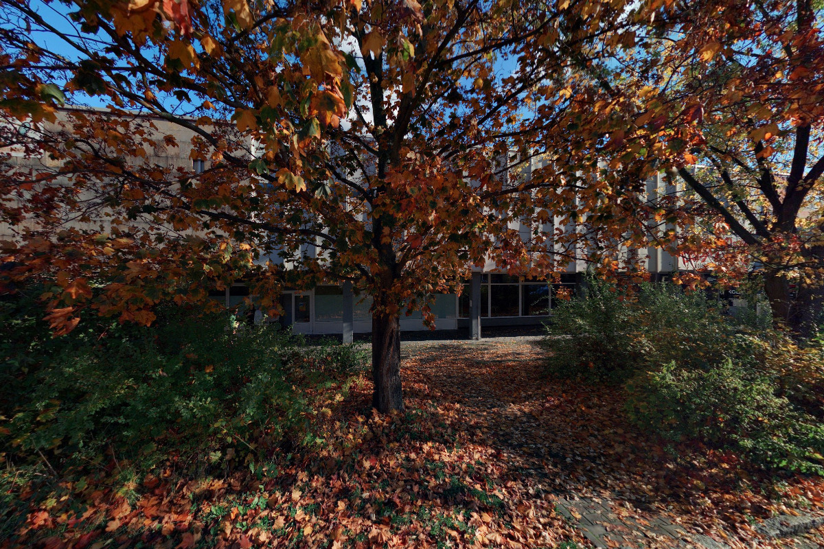 Livetone - Hudební agentura