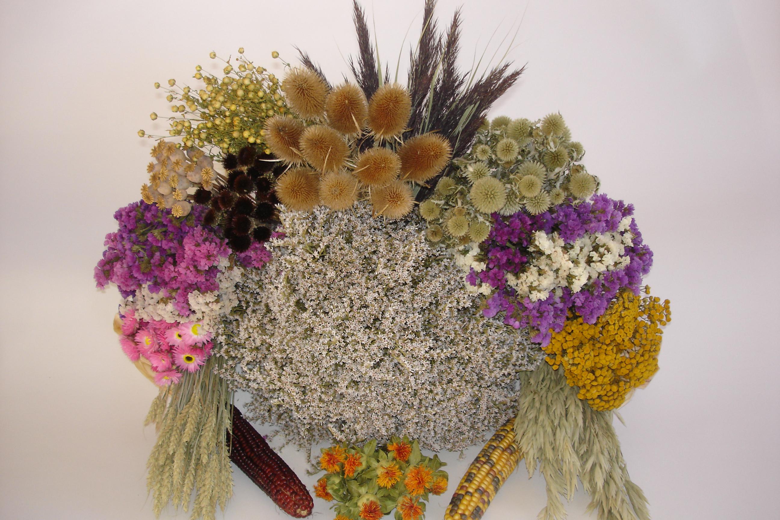 Sušené květiny - Stanislav Šafránek foto 1