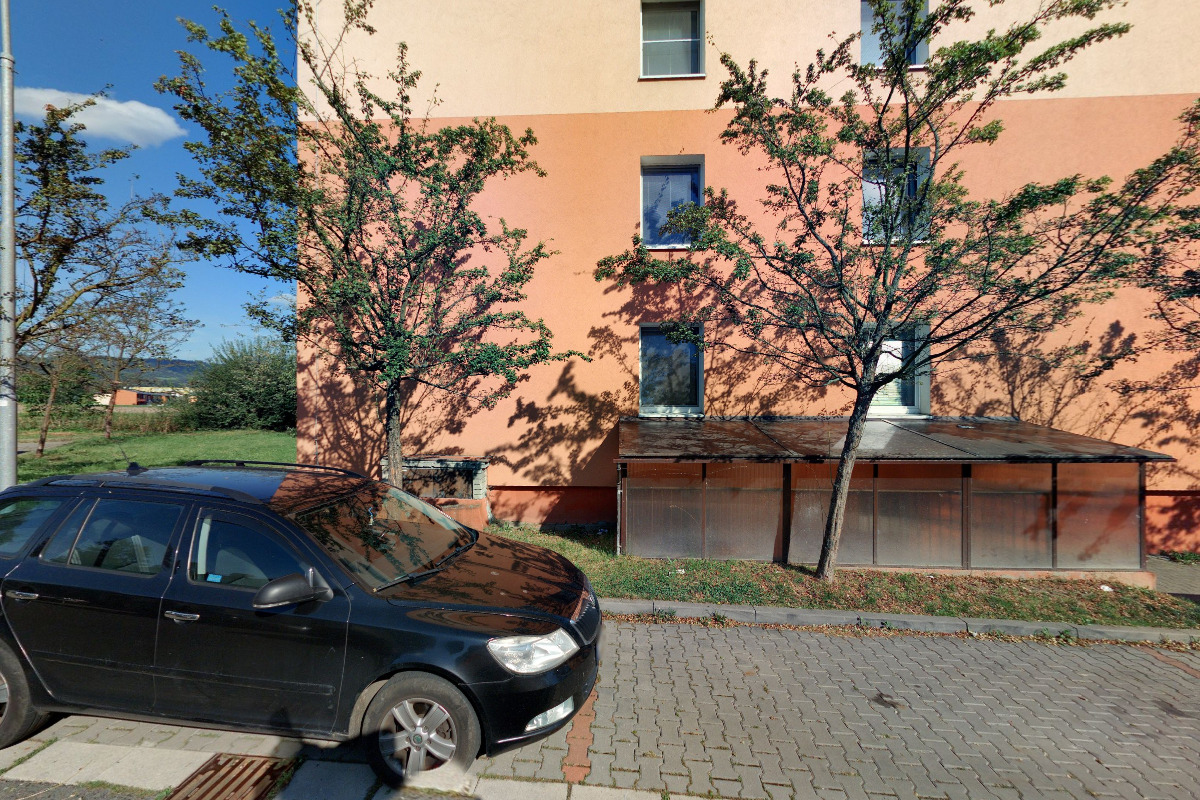 Dana Žouželková foto 2