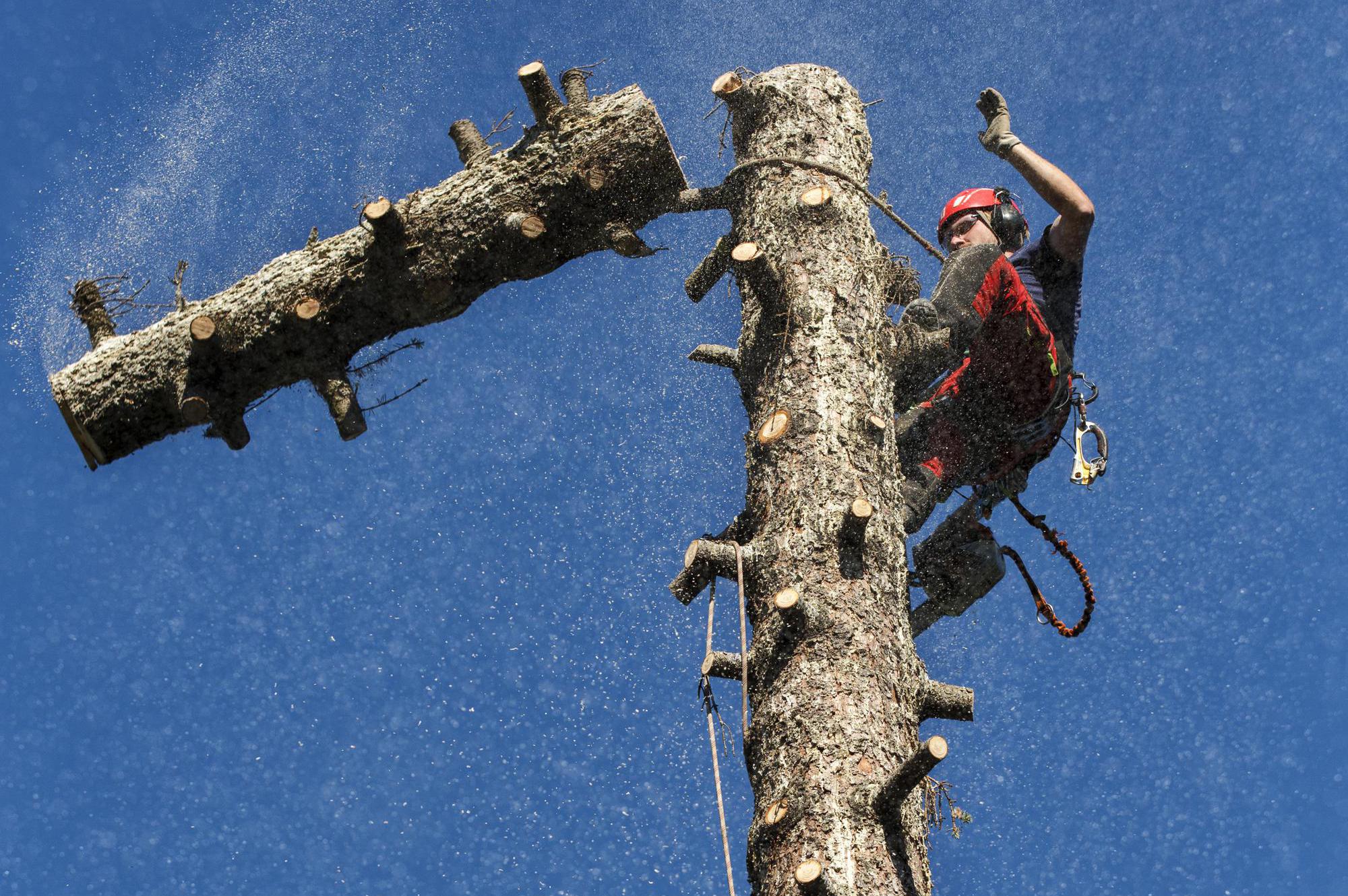 SPANTIK CZ s.r.o. foto 1