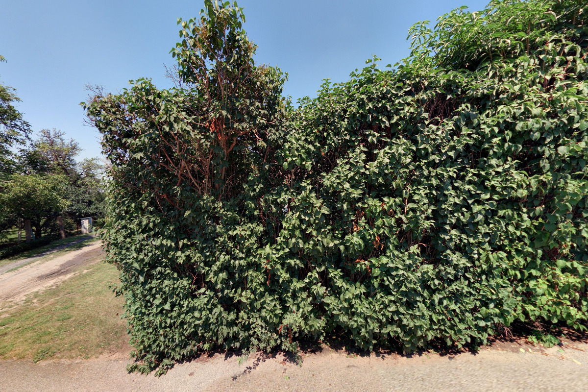 PVE - Pavel Vích - Elektro foto 5