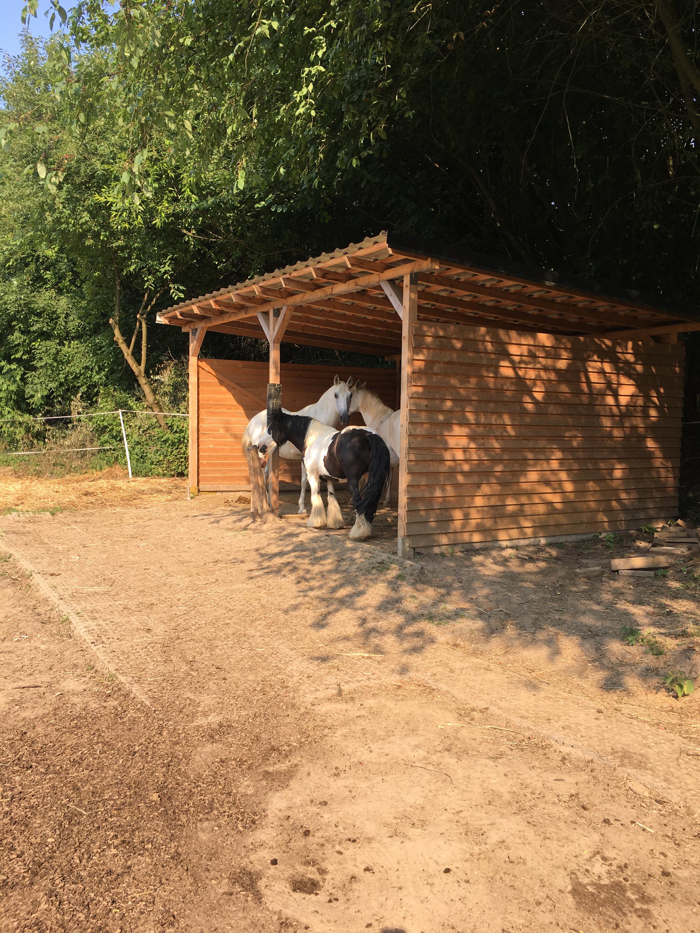 Duhová cesta foto 2