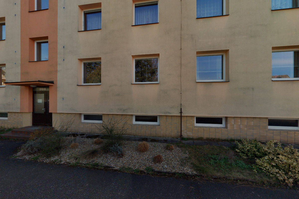 Radmila Šepsová foto 1