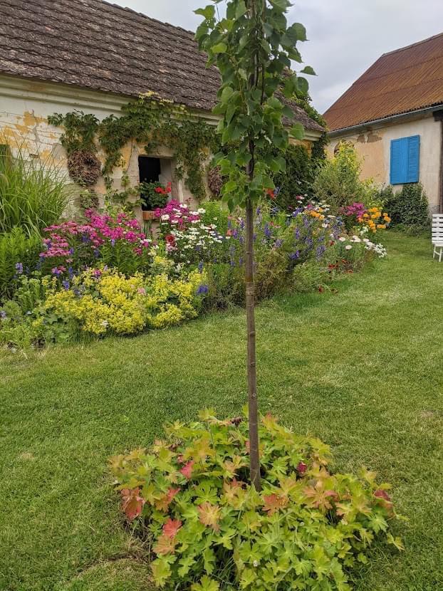 Chalupa u Bylinkářky foto 4