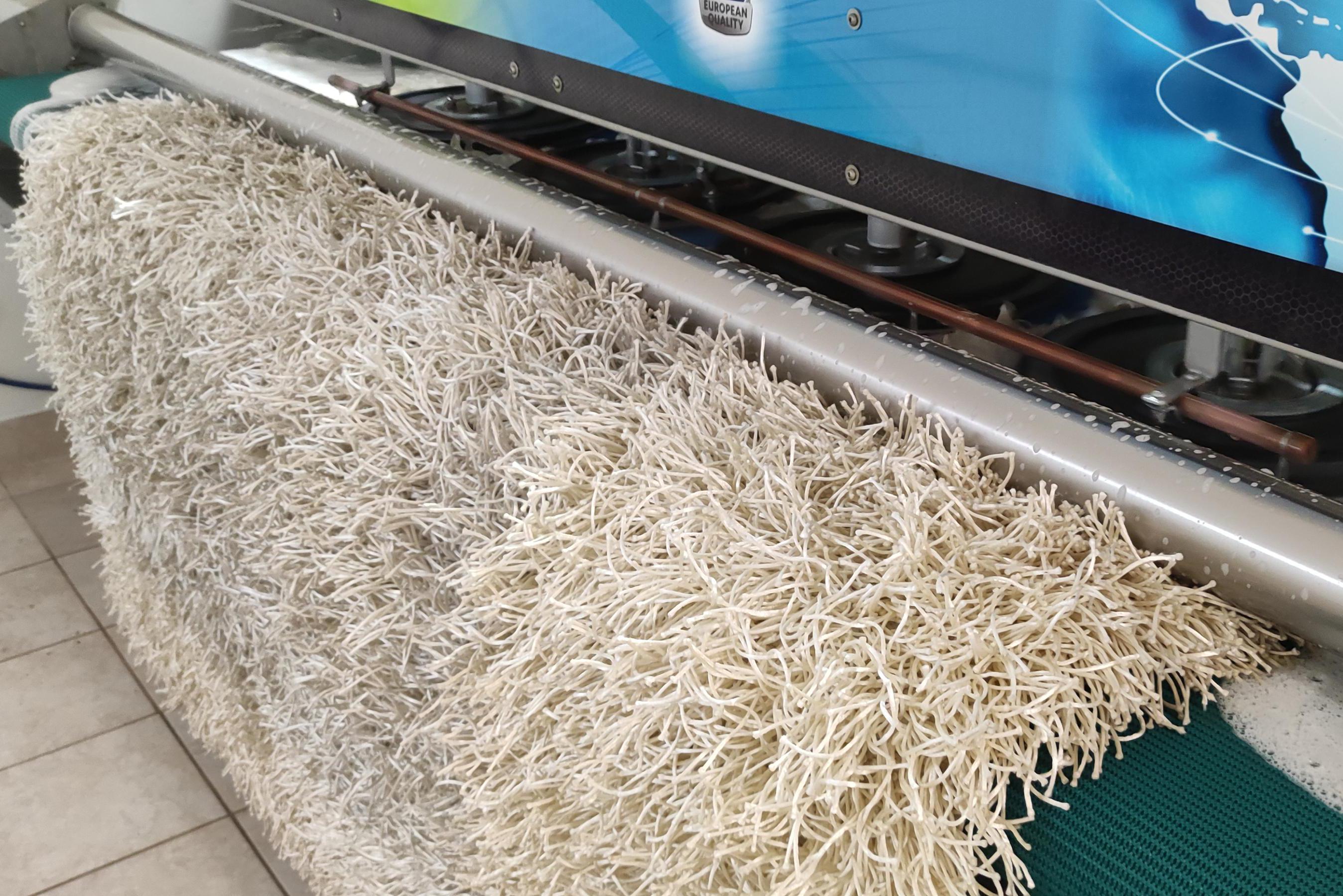 pradelnakobercu.cz - profesionální čištění koberců, čalounění a matrací Dušková