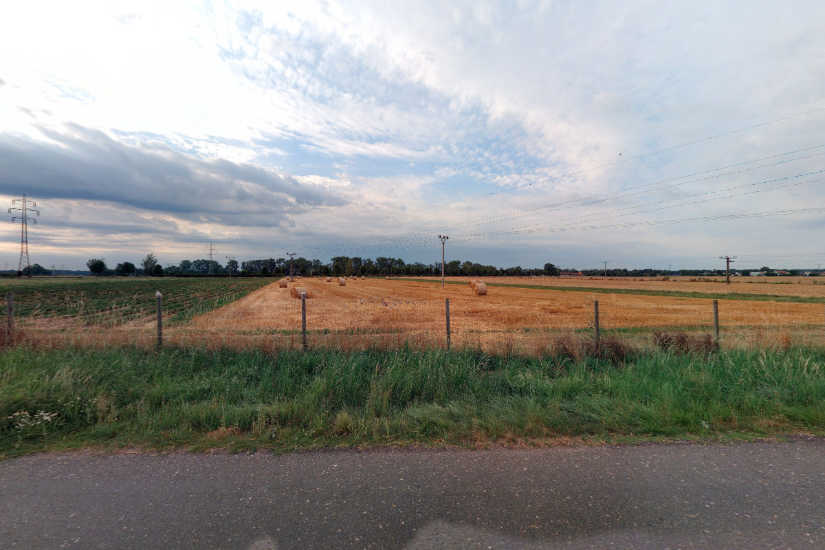 Ing. Alexandr Novák - Jahody Staré Ždánice