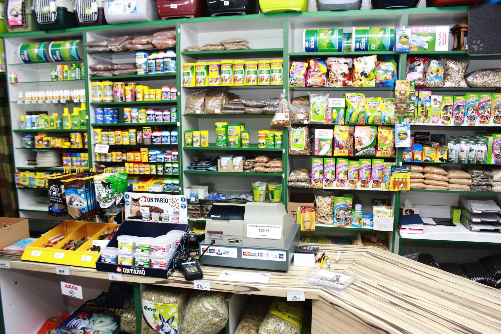 ZOO Škorpion foto 2