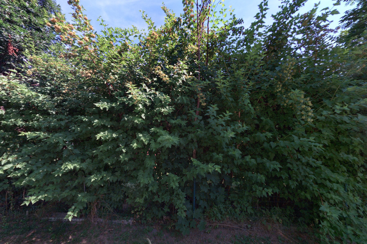 Lenka Honková - Love & Heart photography