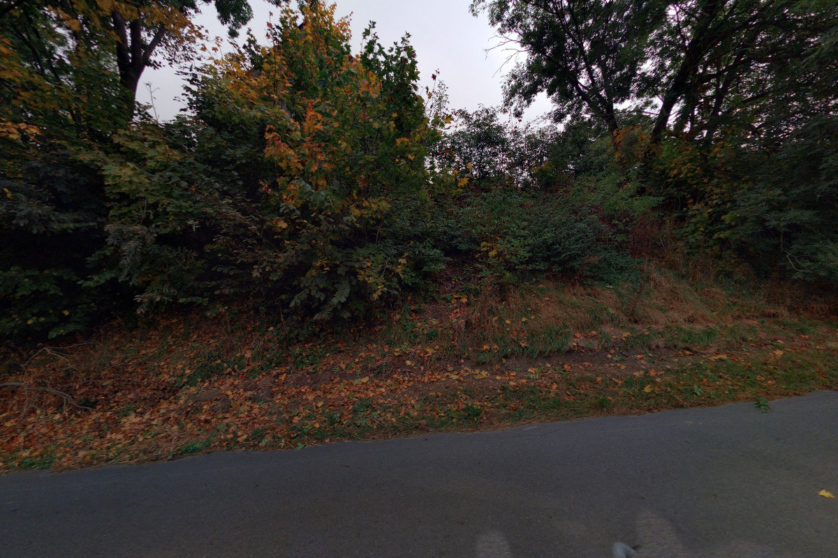 Mgr. Sylva Kaiserová, DiS.