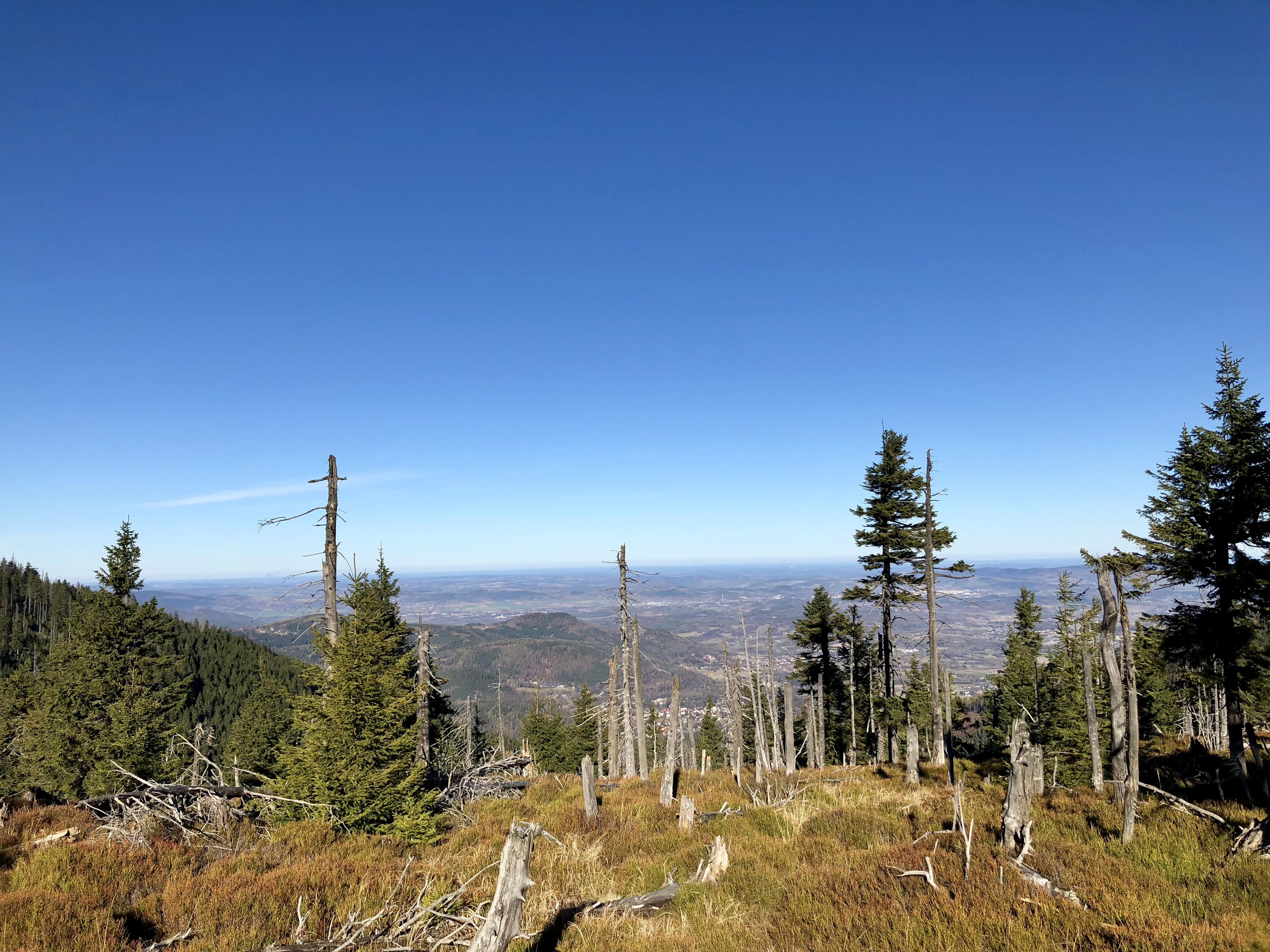 Pension Zámeček foto 6