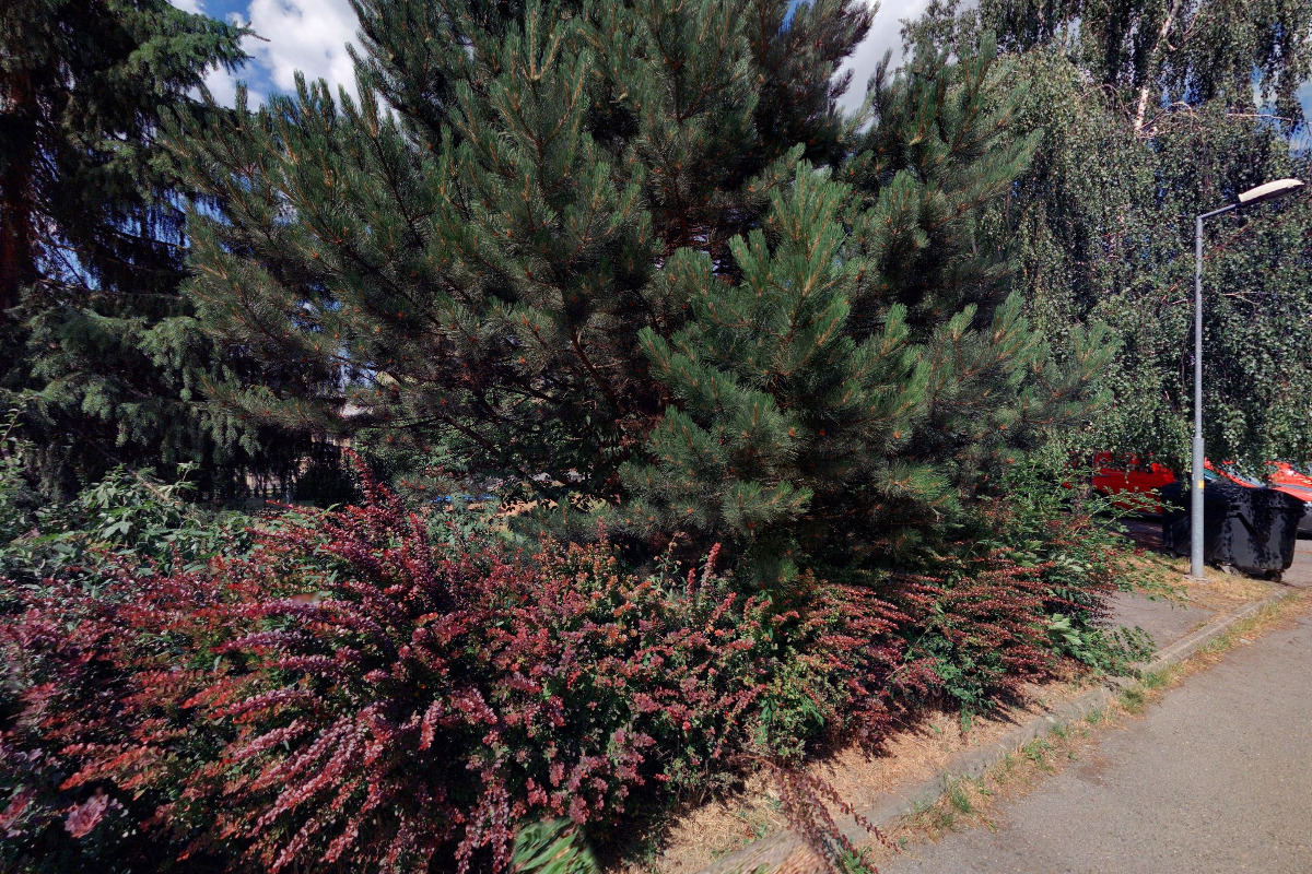 Tenisová škola TALLENT foto 2