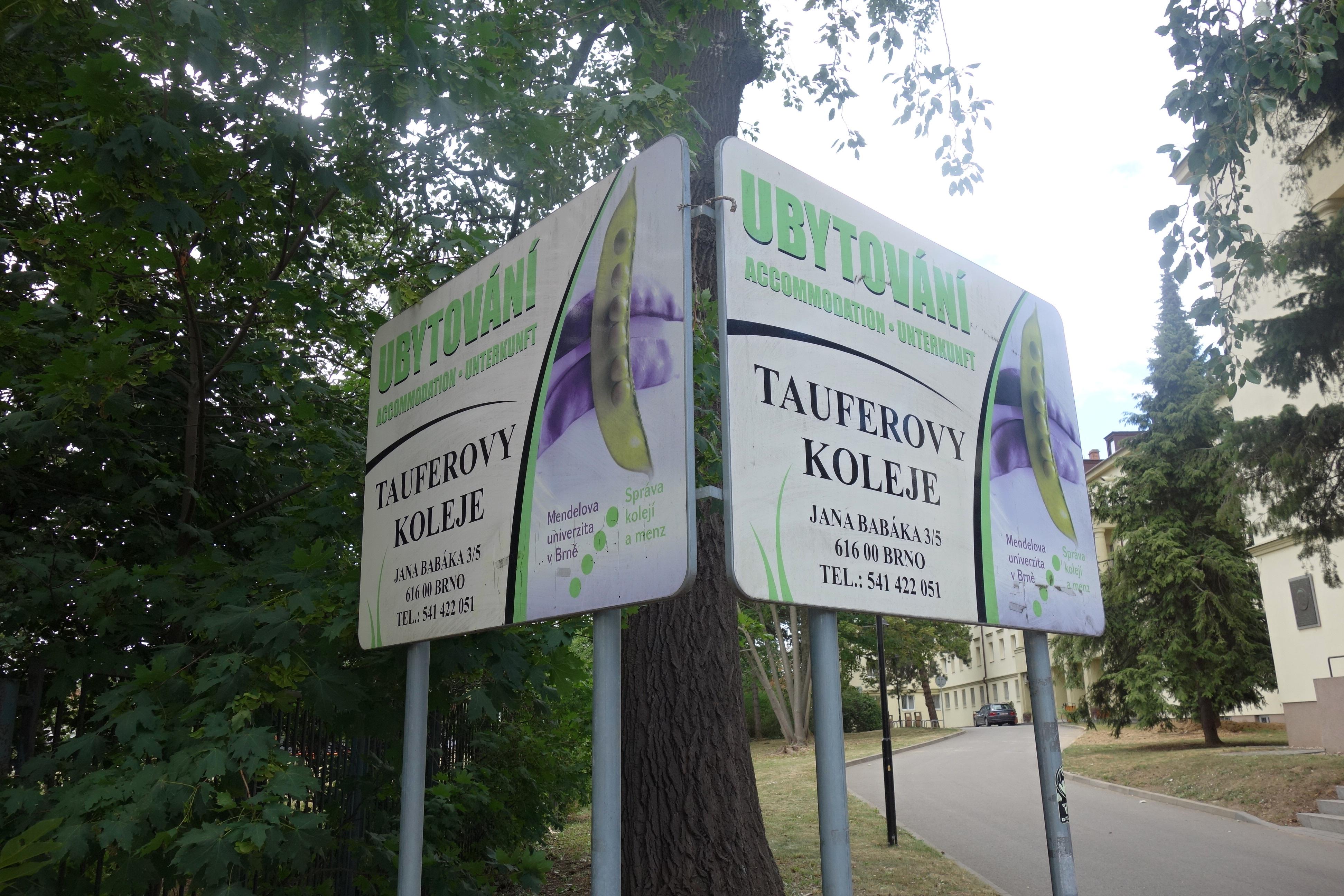 Mendelova univerzita v Brně - Koleje Josefa Taufera foto 2