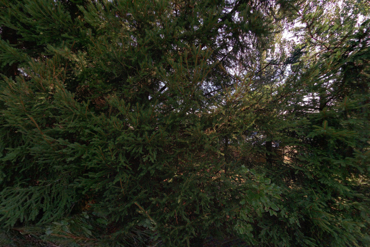 Turistická chata Čáslava-Stav