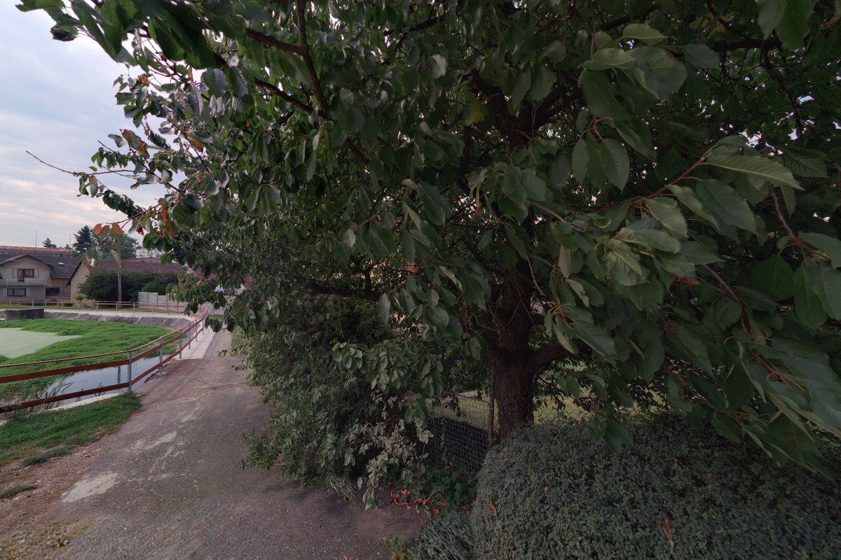 Miroslav Ježek - instalatérství