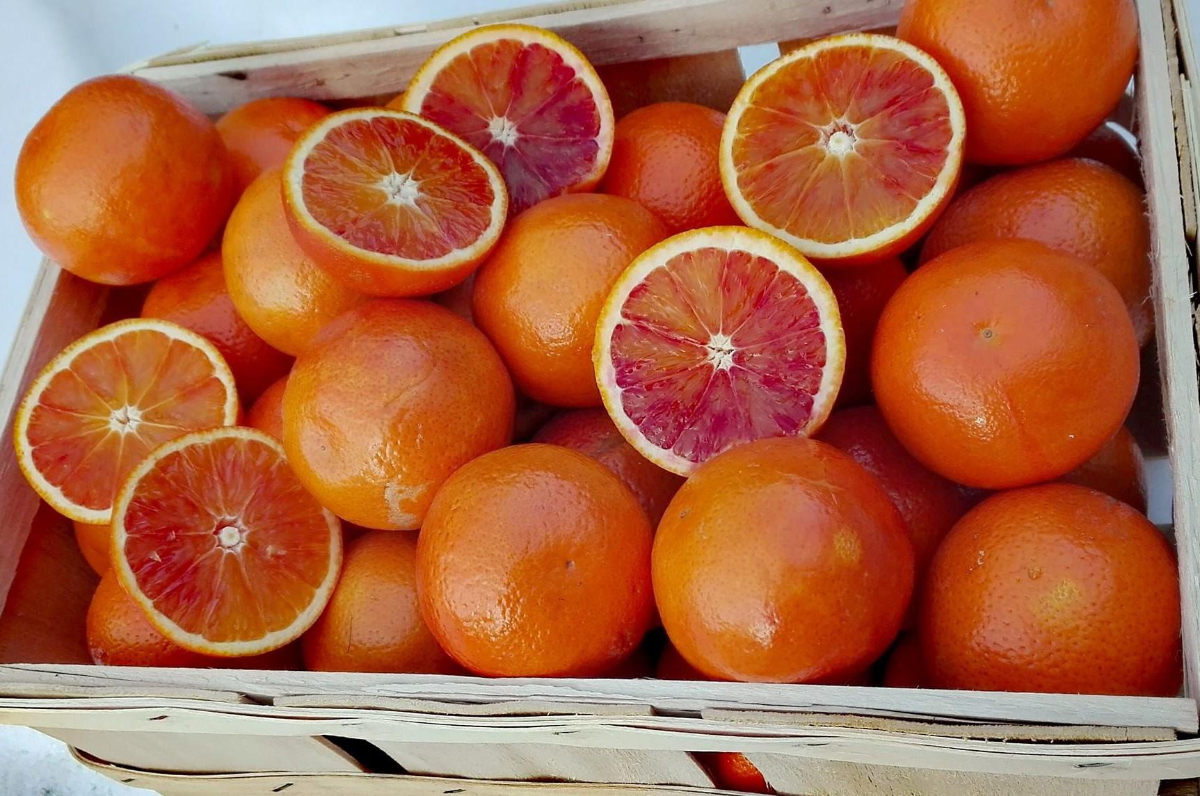 italska-domacnost.cz foto 1