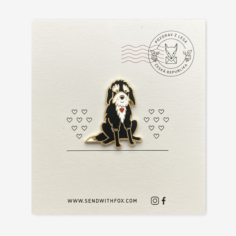 Pozdrav z lesa foto 4