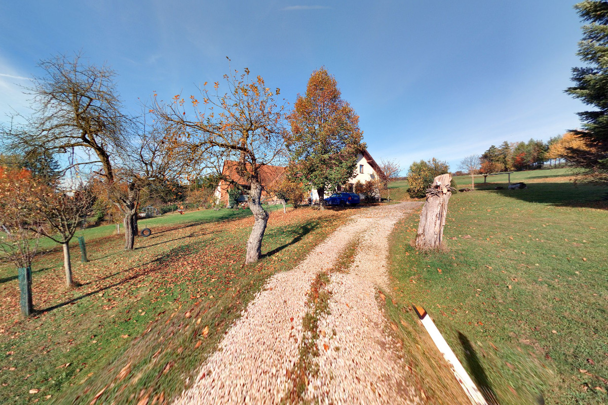 Vánoční stromky řezané - Vladimír Janata