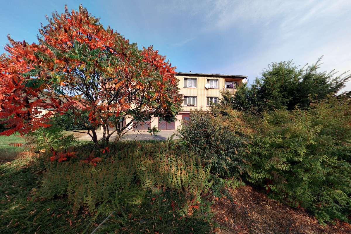 Šárka Goldobinová