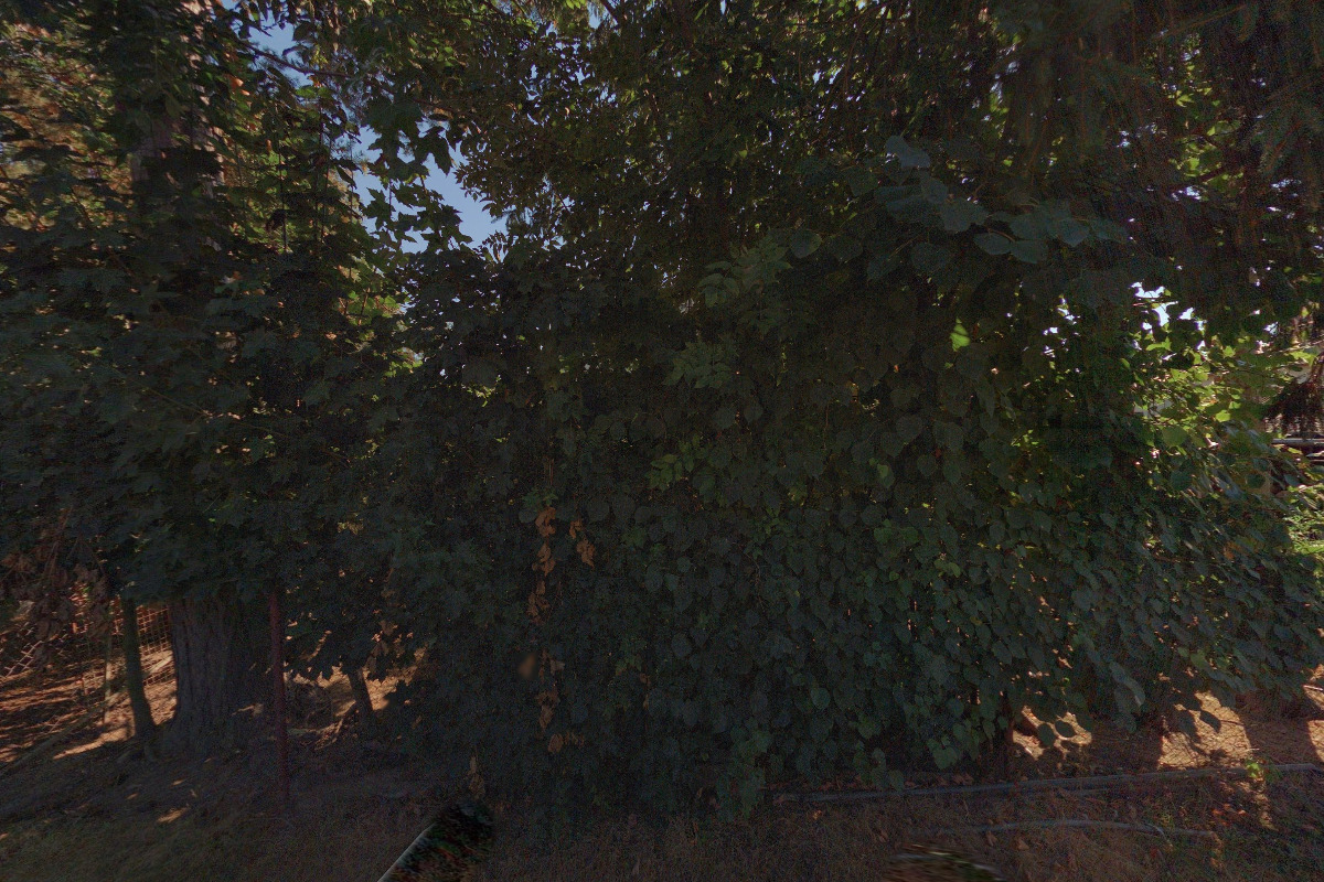 MT Auto Detailing foto 5