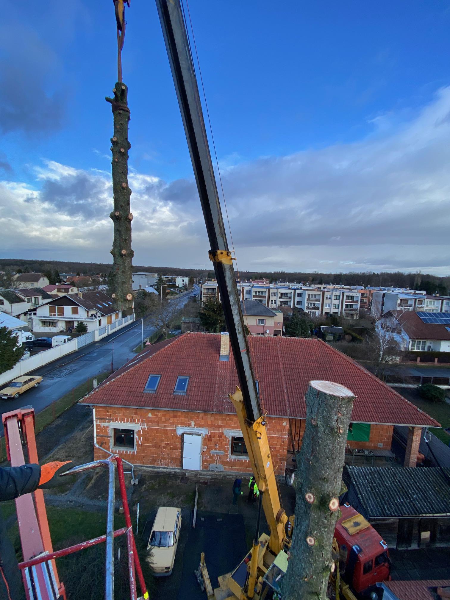ARBEX - Prořezy a rizikové kácení stromů foto 2