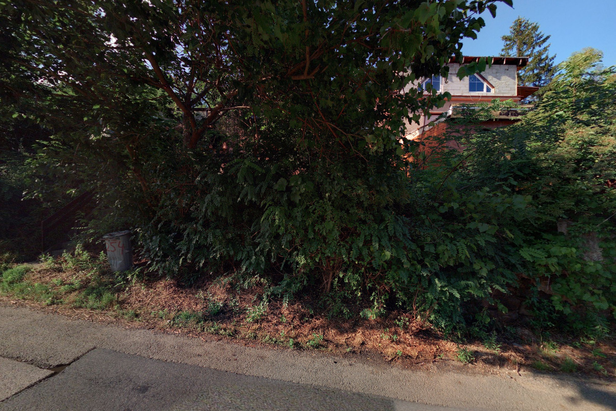 Miloslav Stiebr foto 2