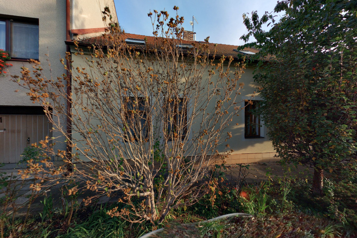 Pěstění lesů - Ing. Zdeněk Věchet foto 1