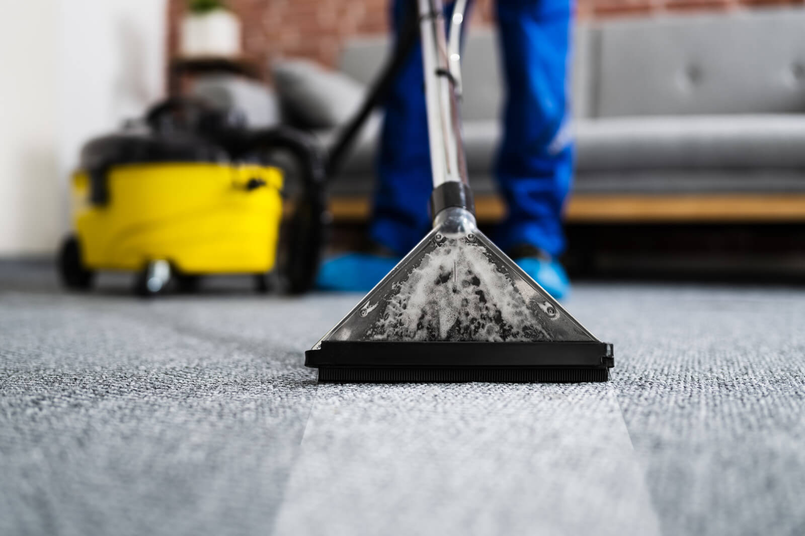R-Cleaner foto 2