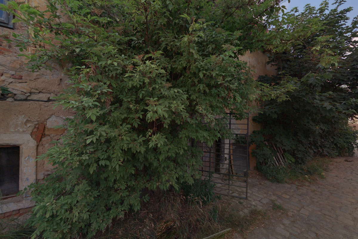 Rytíři Koruny České foto 2