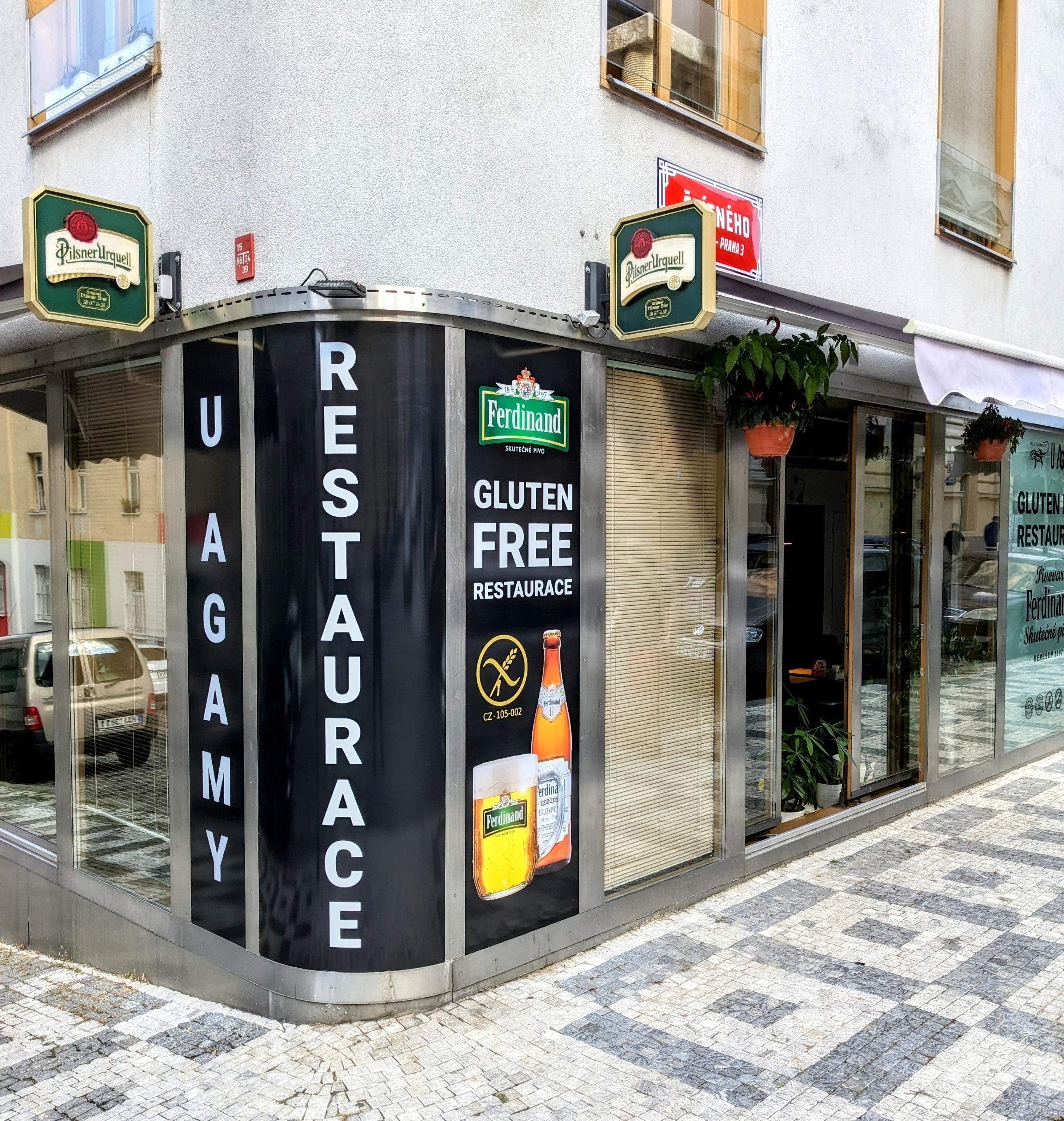 Restaurace U Agamy - gluten free foto 5