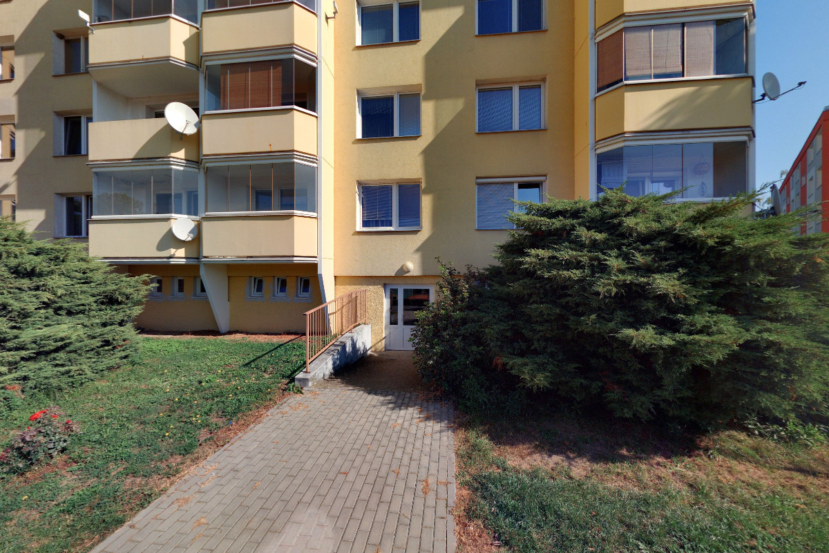 Kateřina Kubová - čištění koberců a čalounění