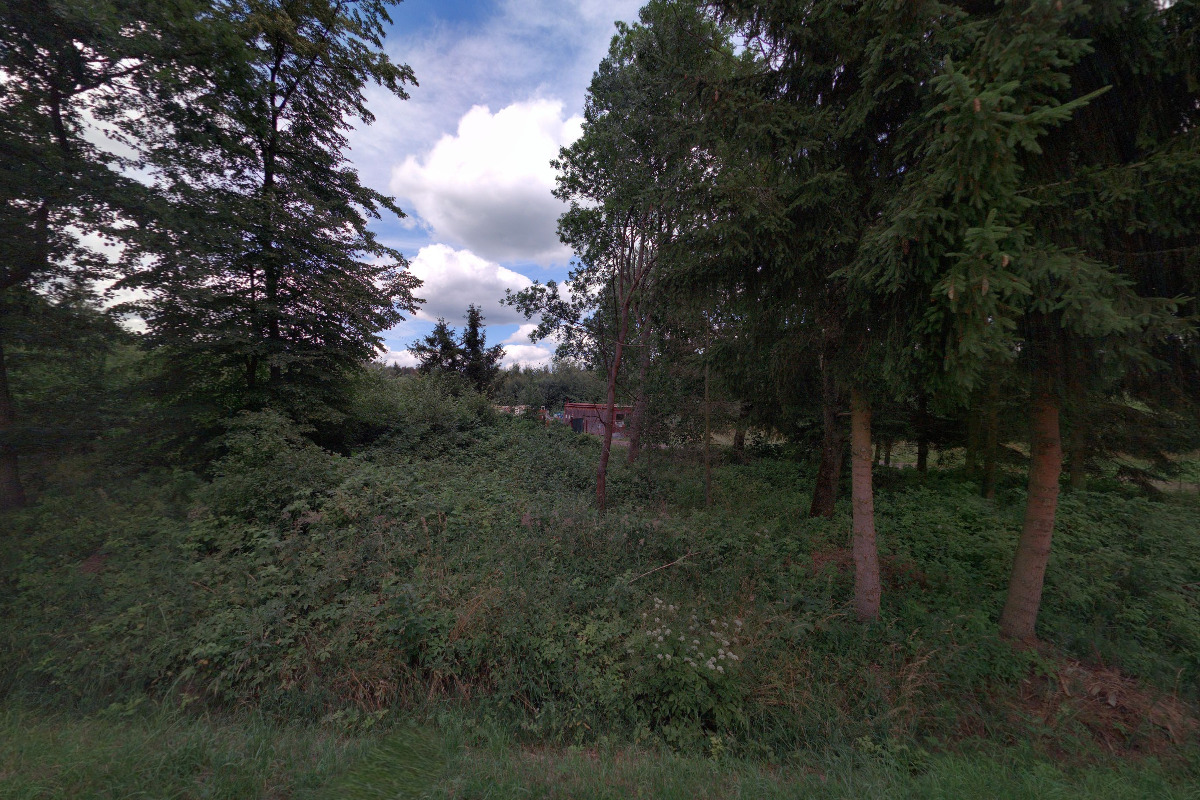 Město Horní Cerekev