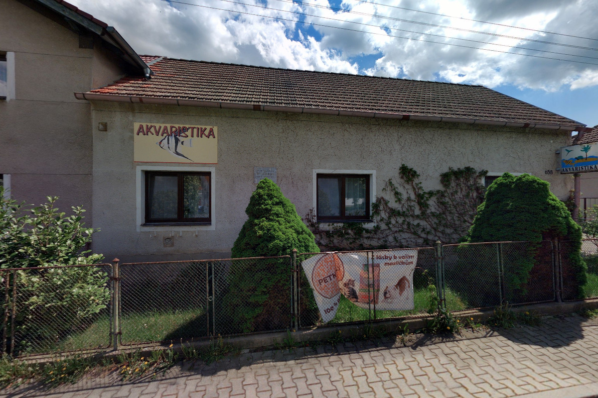 Akvaristika Hořovice foto 4