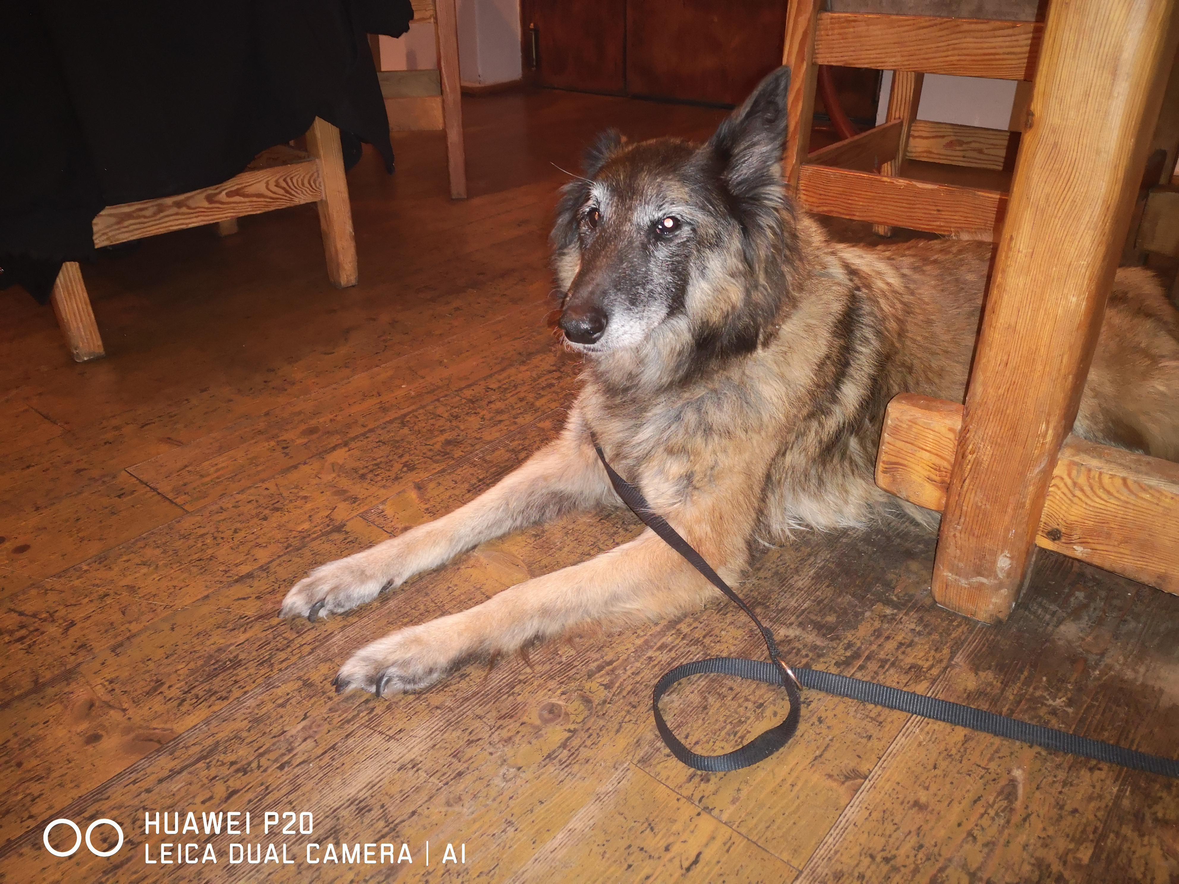 Pension U Mojmíra foto 2