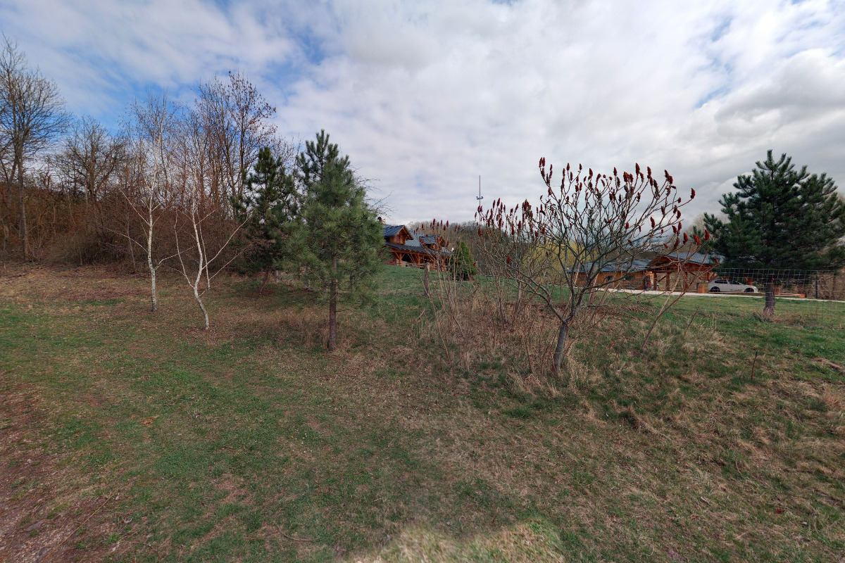 Honební společenstvo Dětenice