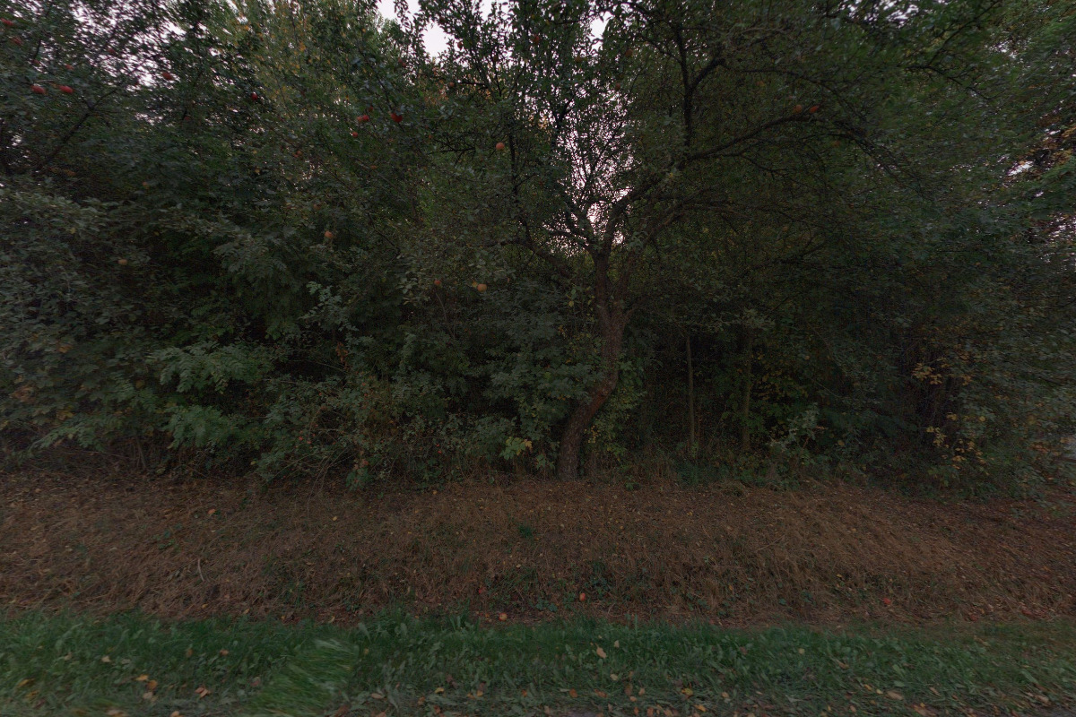 Medovevino.cz foto 2