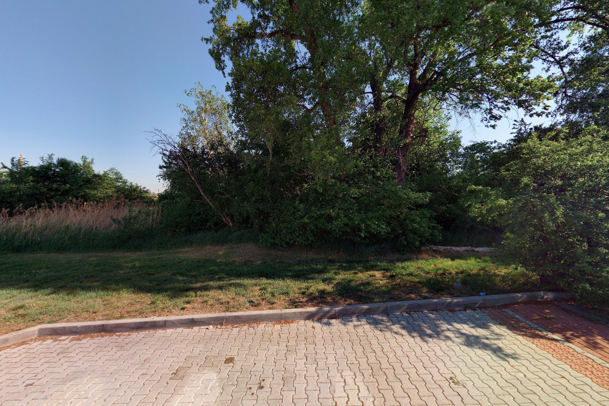 Kynologický klub Lysá nad Labem