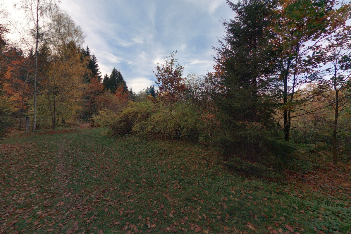 Josef Prexl - weby na WordPressu na míru foto 2