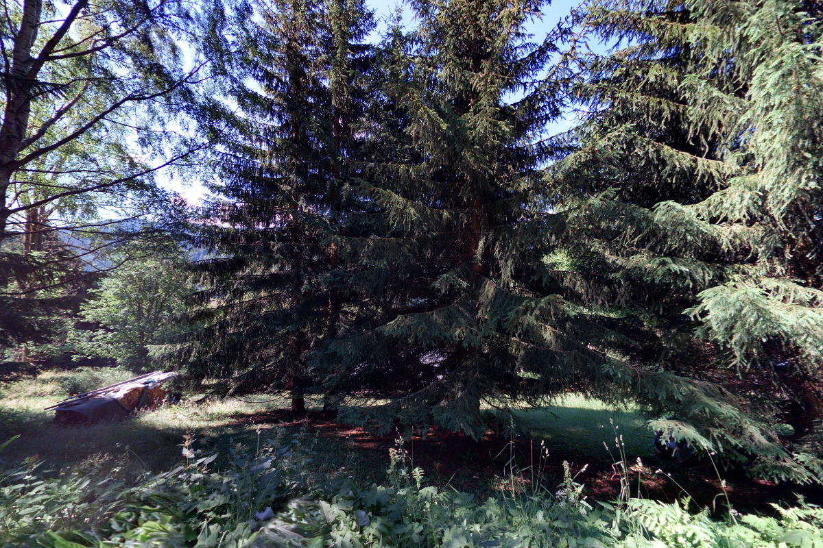 Horská chalupa U Kulišů