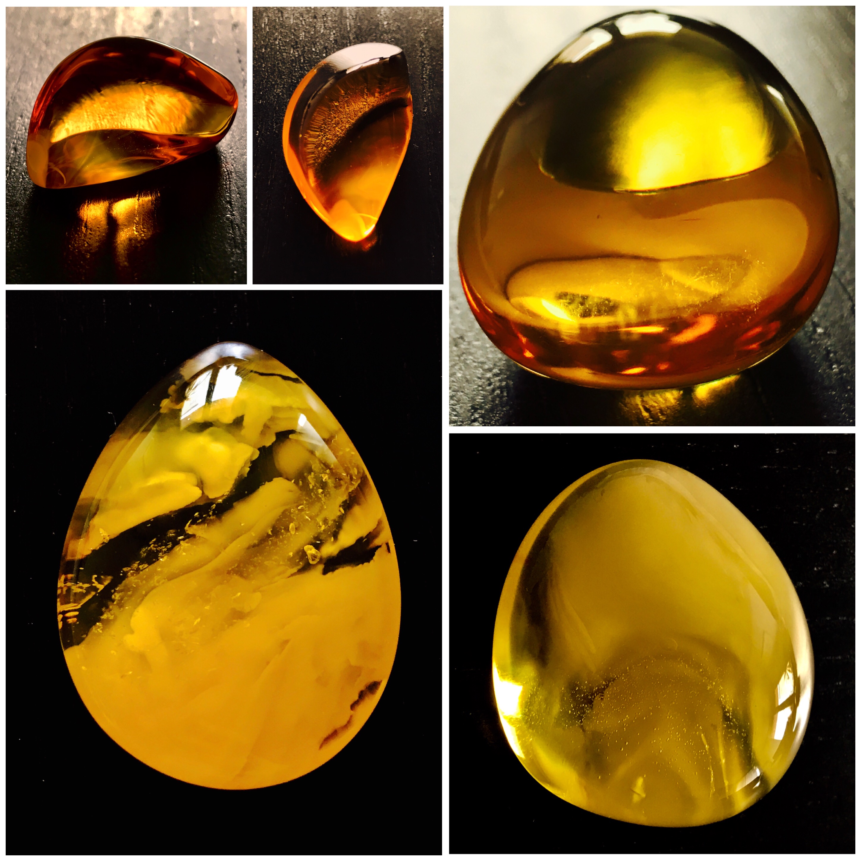 phoenixamber.cz foto 3