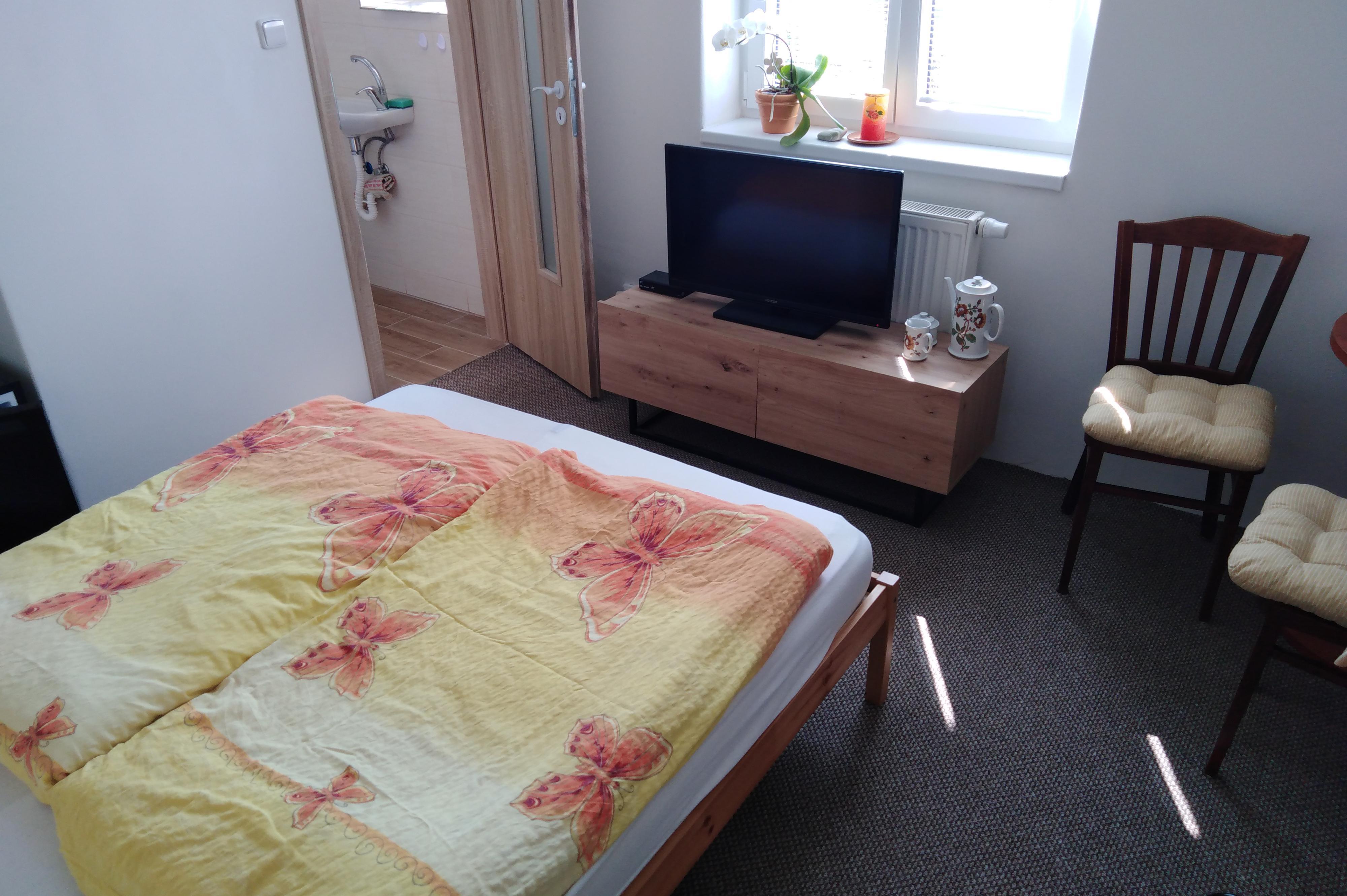 Ubytování v soukromí - Libice