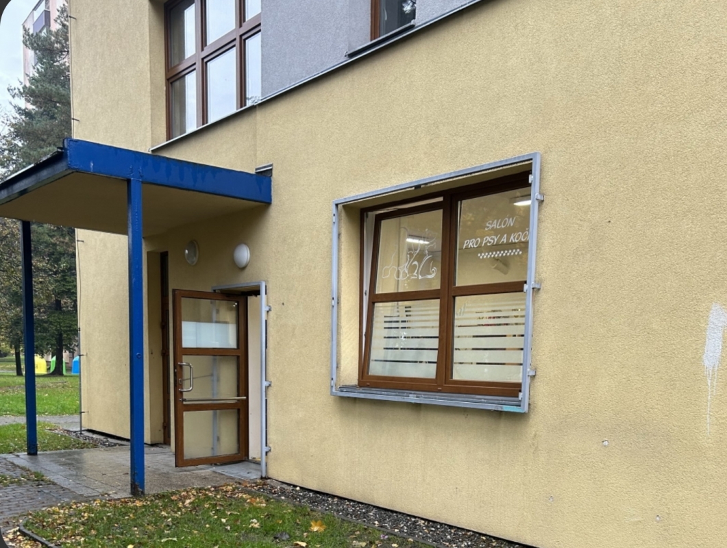 Psí salón Petra Ulrichová Plisková foto 1