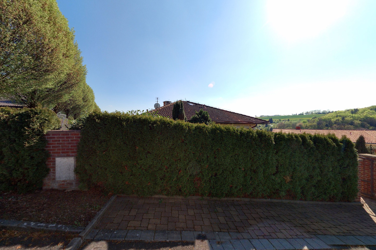 David Zajíc - RE/MAX Delux