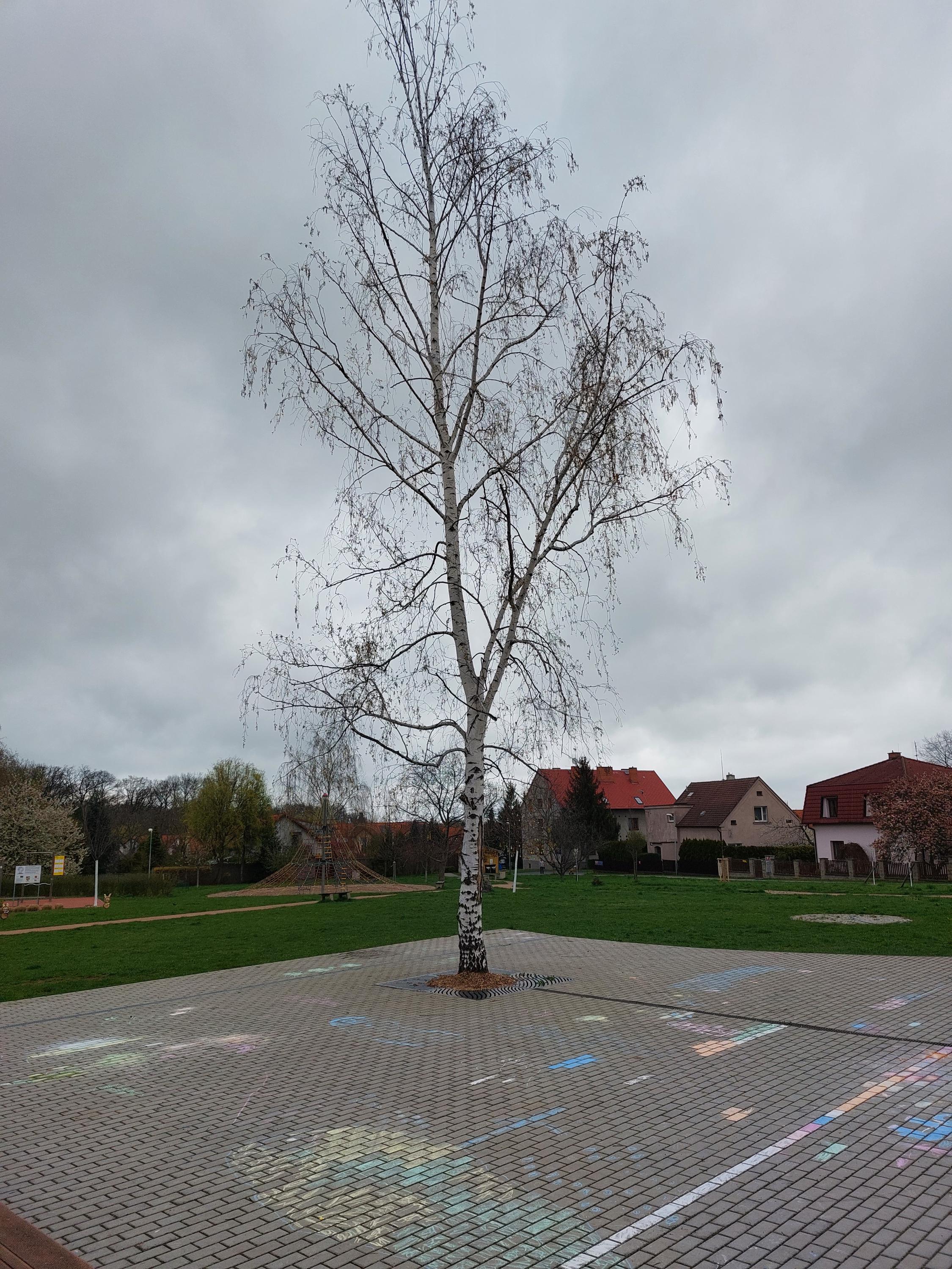 Komunitní centrum Jiřího Hubače foto 6