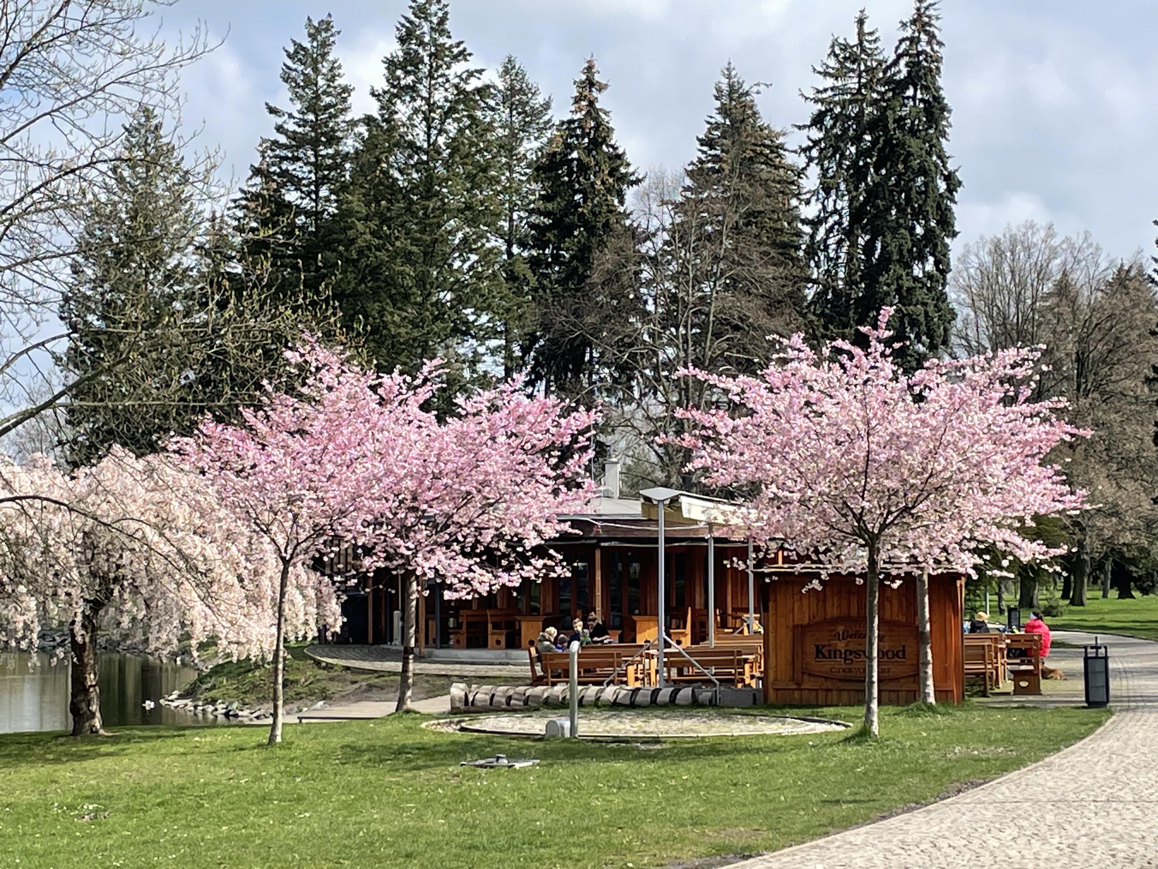 Rotunda Lounge Café foto 6