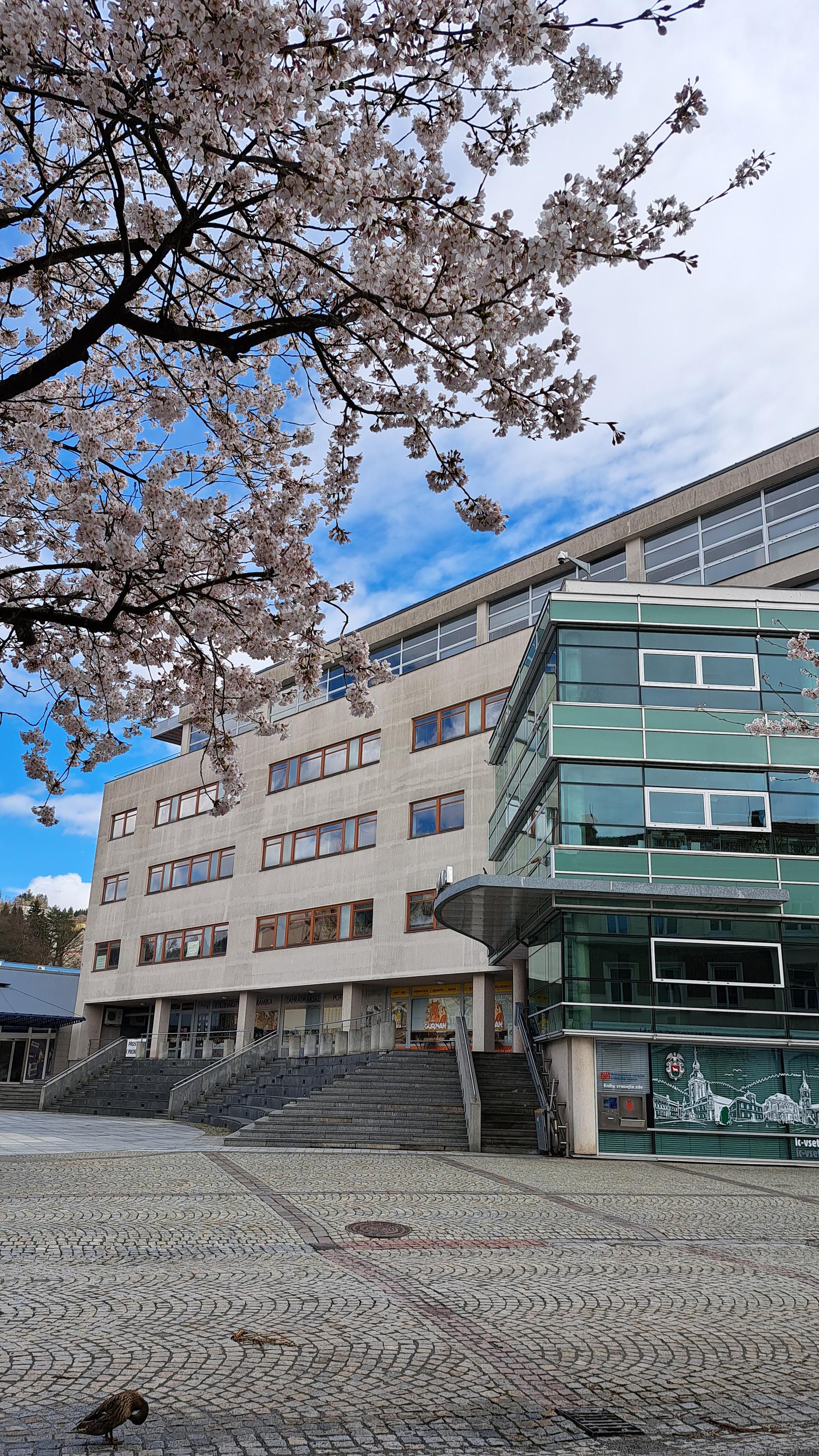 Masarykova veřejná knihovna Vsetín foto 6