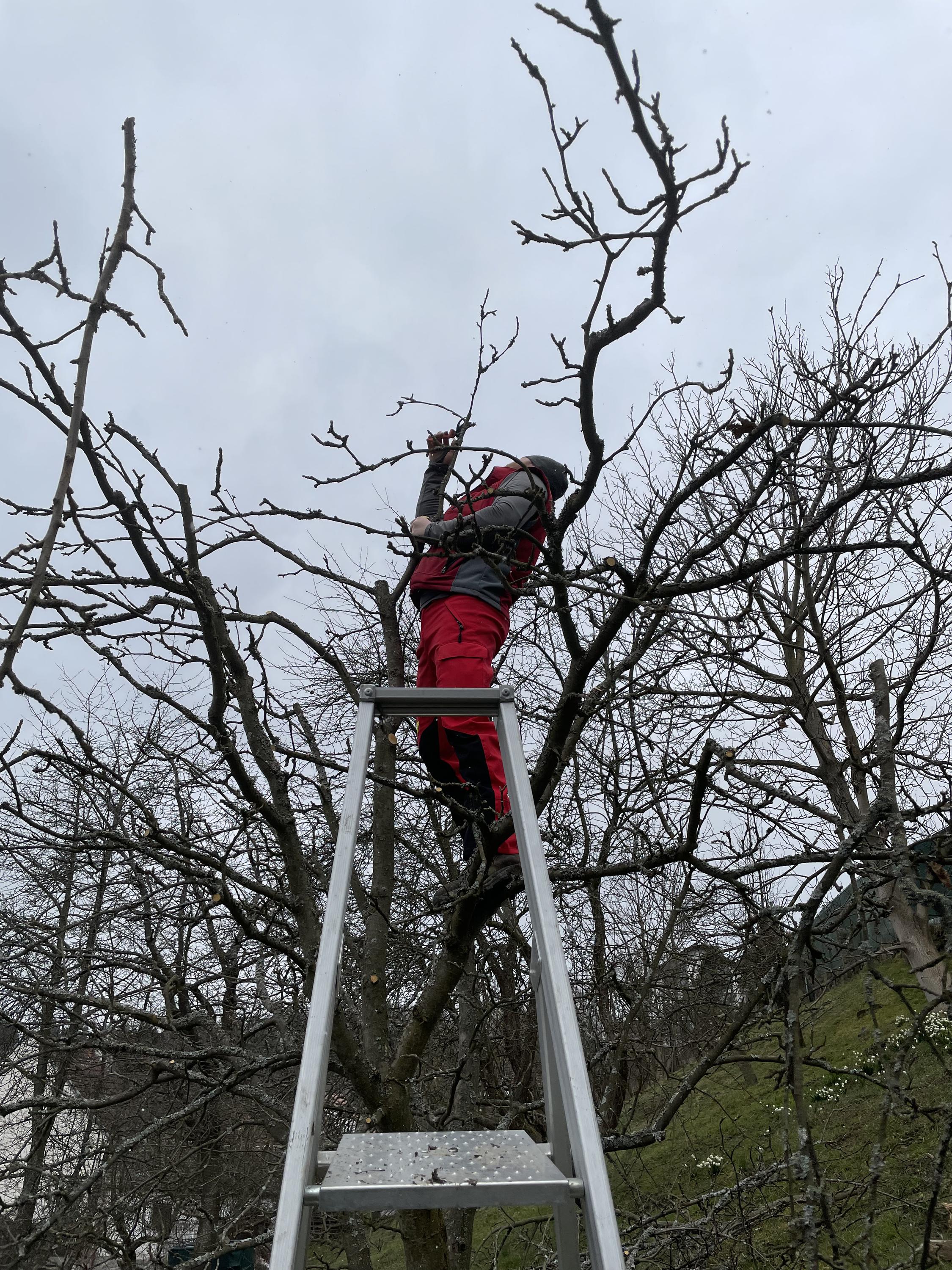 Zahradnické služby Ing. Igor Maťovčík foto 5
