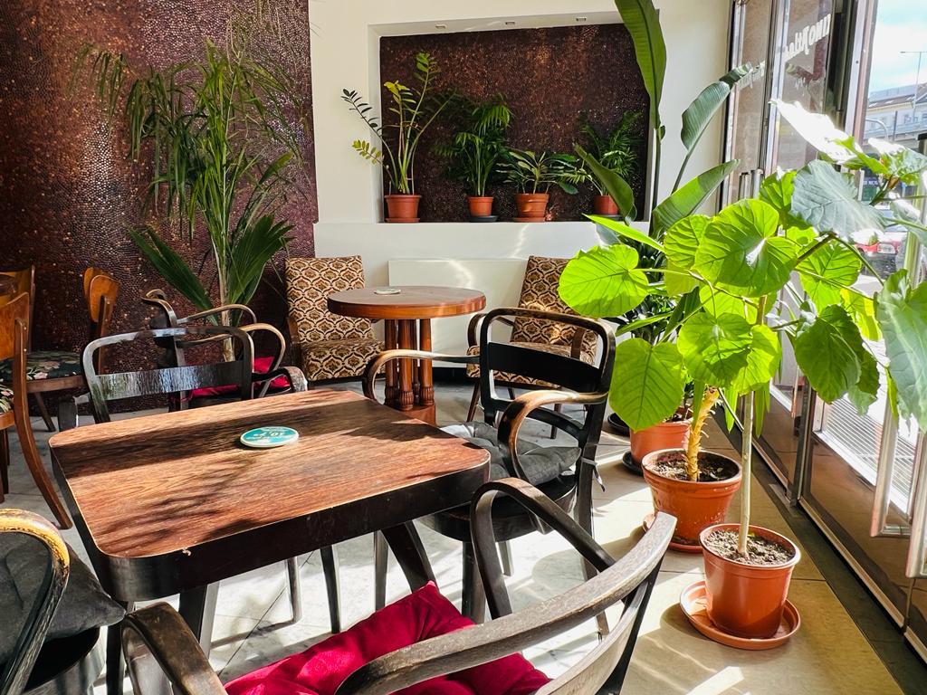 Café Atlas rostlin foto 4