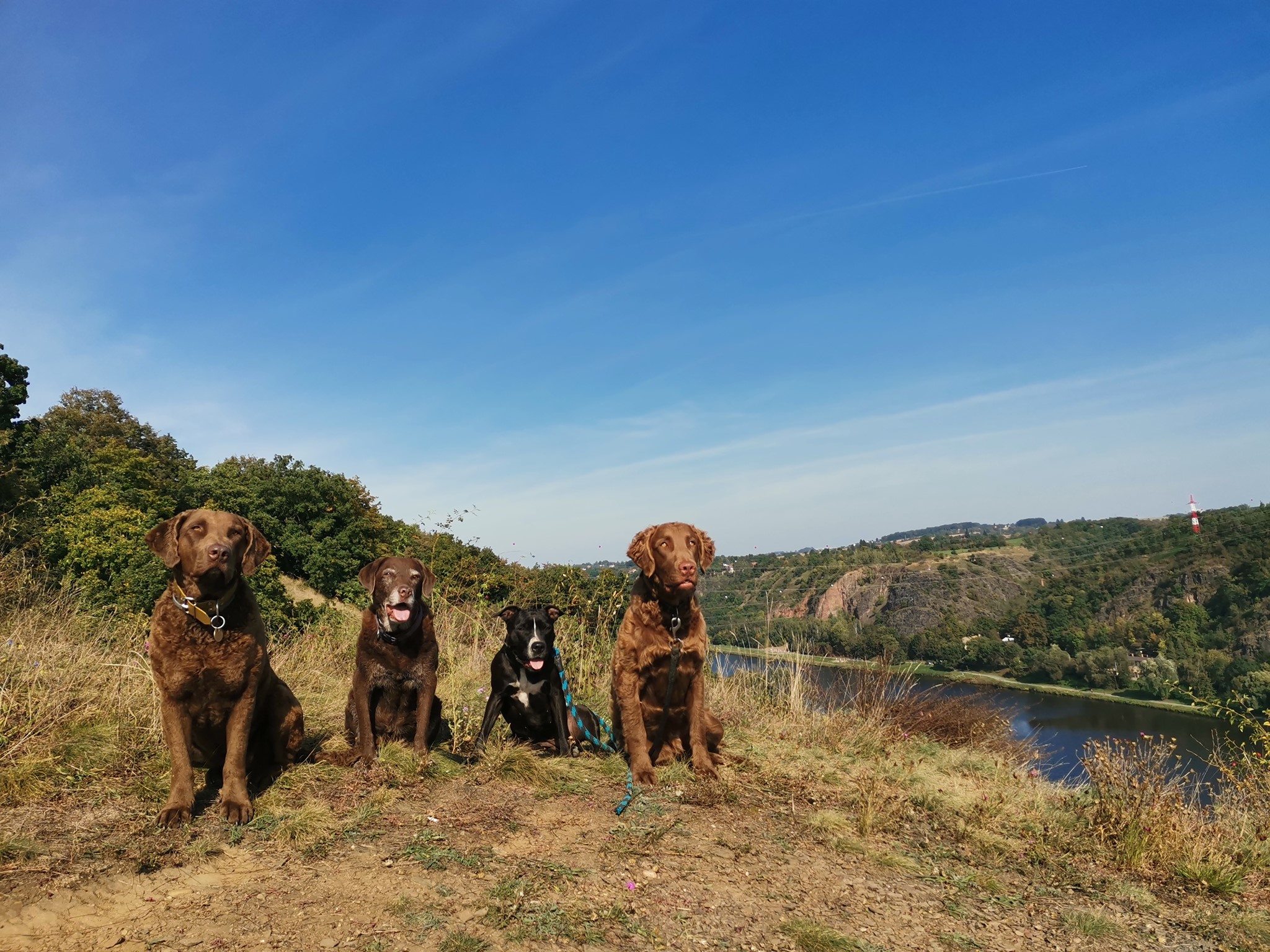 Život se psy - Veles foto 2