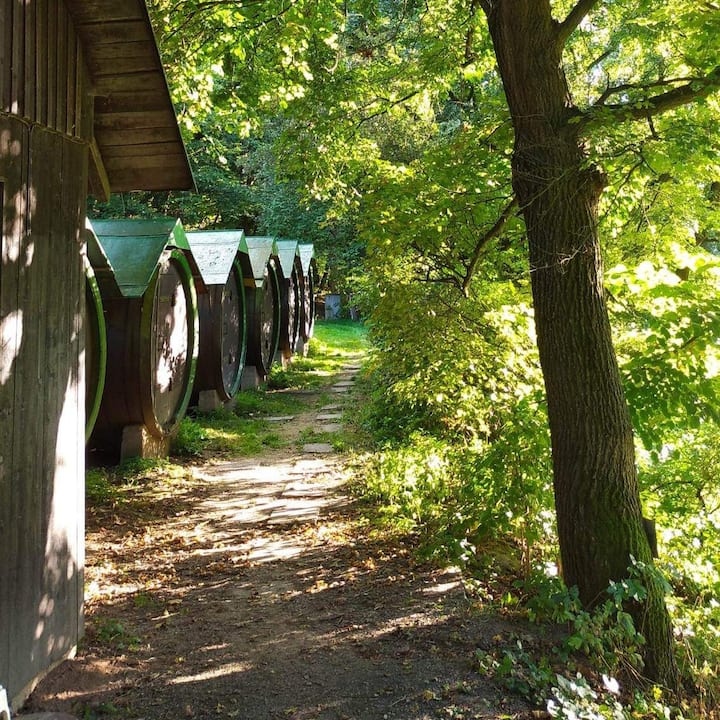 Obytné sudy Branov - soukromý camping klub